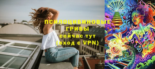 прущая мука Осташков