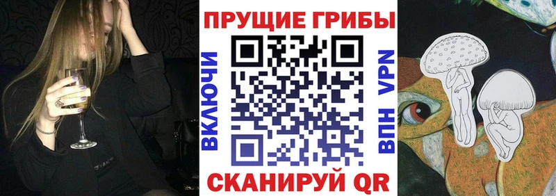 даркнет клад  Тайга  Галлюциногенные грибы Psilocybe 